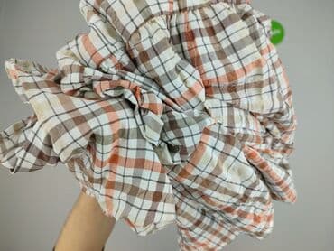 sukienka koszulowa plus size: NEXT Petite, Sukienka damska, rozmiar 2XL — 4