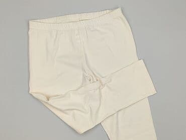 krótkie spodenki do grubych rajstop: Legginsy XL — 1