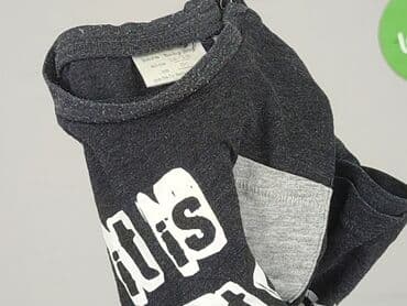 koszulka fast and furious: Sweatshirt, Zara, 12-18 months, condition - Very good — 5