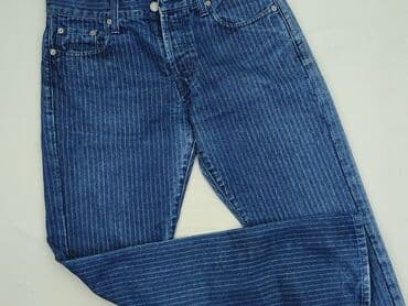 Trousers: Jeans for men, L (EU 40), Big Star, condition - Good — 1