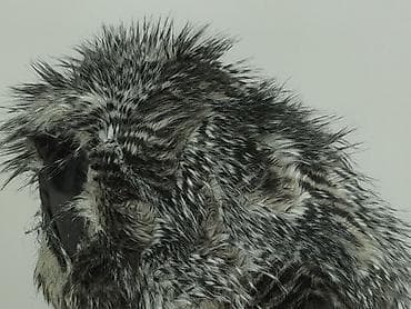 operator drona kamizelka: Kamizelka damska, rozmiar L — 7