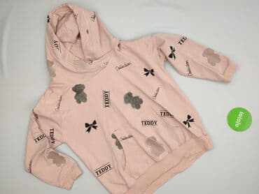 Sweatshirts and fleeces: Teddy, Women`s hoodie, size L — 2