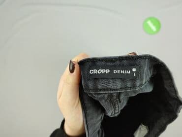 polskie jeansy prl poznań: Cropp, Jeansy dla mężczyzn, rozmiar L — 4