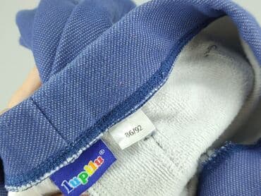 pomaranczowe spodnie dresowe: Leggings for kids, Lupilu, 1.5-2 years, 92, condition - Very good — 5