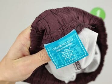 lidl klapki basenowe: Cedar Wood State, Swimming shorts for men, size L — 4