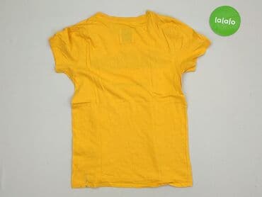 t shirty hollister: Hollister, T-shirt damski, rozmiar XS — 4