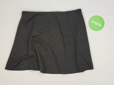 tiulowe spódnice i sweter: Zara, Spódnica damska, L — 2