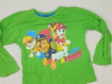 f f tshirt: Sweatshirt, Nickelodeon, 5-6 years, 110-116 cm, condition - Very good — 1