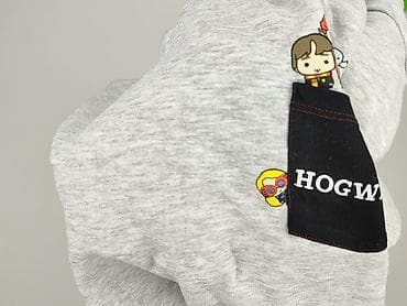 bluzki harry potter: Harry Potter, Bluza damska
, rozmiar M — 6