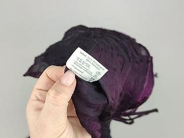 pluszowy sweter: QUIOSQUE, Bluzka damska, rozmiar L — 4