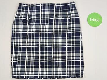 plisowane spódnice lidl: Caroline Biss, Spódnica damska, 2XL — 2