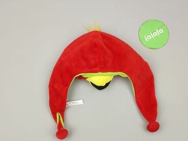 koszulka wilk i zając: Hat, 2-3 years, One size, condition - Very good — 3