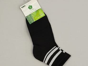 жіноча білизна польща: Socks for women, 35-37 — 1