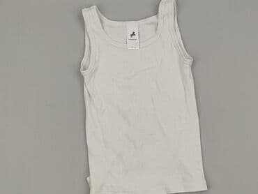 zara podkoszulek: A-shirt, Palomino, 5-6 years, 110-116 cm, condition - Very good — 1