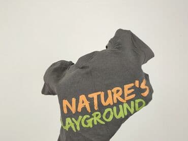 koszulki z napisami allegro: Sweatshirt, Little kids, 8 years, 122-128 cm, condition - Perfect — 6