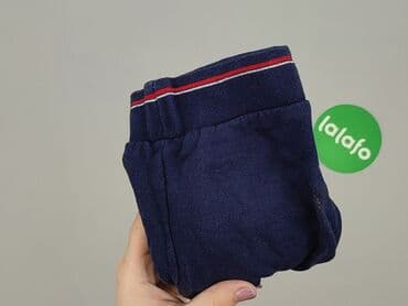 kapcie w ccc: Sweatpants, Rebel, 9-12 months, condition - Good — 6