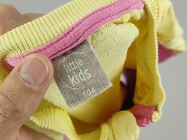 ile wazy bluza: Bluza, Little kids, 3-4 lat, 98-104 cm, stan - Bardzo dobry — 4