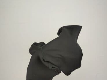 grubosc rajstop w den: Sweatpants, Quechua, 8 years, 122/128, condition - Very good — 6