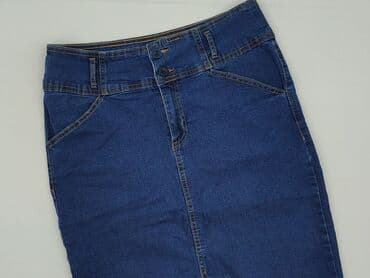 spódniczka plus size: Ulubione, Spódnica damska, L — 1