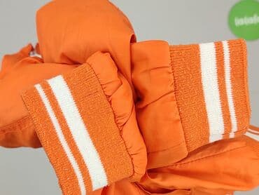 kurtka i spodnie zimowe pepco: Kurtka przeciwdeszczowa, 1.5-2 lat, 86-92 cm, stan - Bardzo dobry — 6