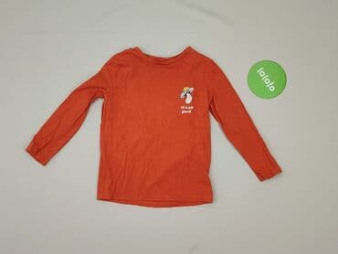 koszulka koty: Blouse, Sinsay, 2-3 years, 92-98 cm, condition - Good — 2