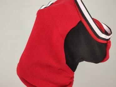 sukienki czerwone dopasowane: FB Sister, Sukienka damska, rozmiar S — 5