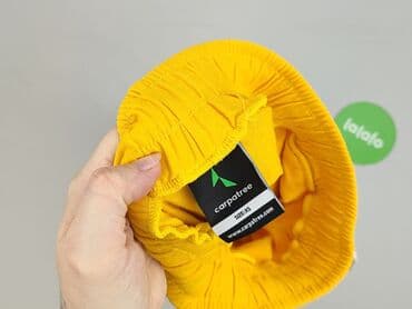 spodnie dresowe carpatree: Carpatree, Spodnie dresowe damskie, XS — 4