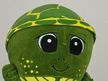 c: Mascot condition - Perfect — 4