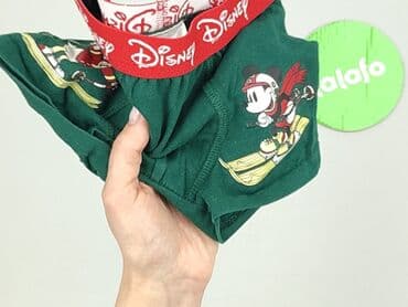 piżama hello kitty primark: Majtki, Disney, 2-3 lat, stan - Bardzo dobry — 4