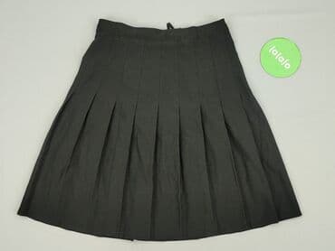 Women: Women`s skirt, size L (EU 40) — 2