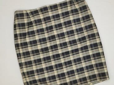 plisowane spódnice lidl: Spódnica damska, L — 1