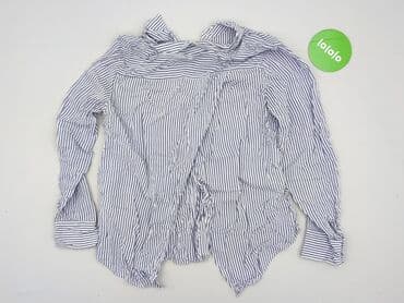 kurtki okee: Oasis, Koszula damska, 2XL — 3