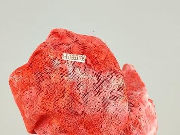 bluzki typu halter: Tally Weijl, Bluzka damska, rozmiar S — 5