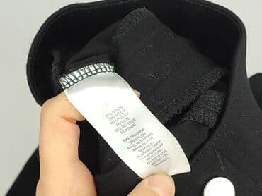 despasito spodnie: Tahari, Spodnie materiałowe damskie, rozmiar L — 6