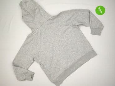 mohito swetry: LeviS, Худі для чоловіків, M — 3