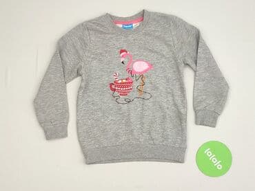 c and a bluza: Bluza, Lupilu, 3-4 lat, 98-104 cm, stan - Bardzo dobry — 2