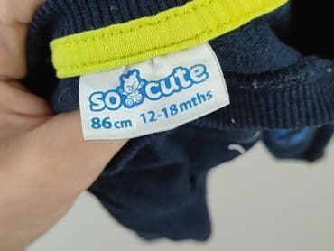 smyk ubranka dla niemowląt: Світшот, So cute, 12-18 міс., стан - Дуже гарний — 4