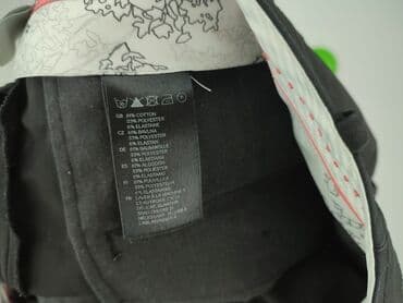 smog spodnie: H&M, Spodnie materiałowe damskie, L — 6