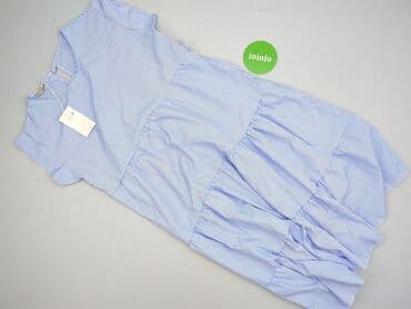 sukienki chabrowe dla puszystych: Vanessa, Sukienka damska, M — 2