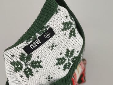 sweter z kotkiem: Cleve, Sweter dla mężczyzn, 2XL — 4