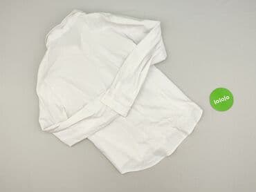 koszule almat: Koszula damska, rozmiar 3XL — 3