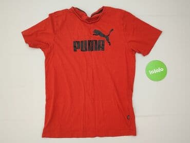 koszulka z golebiem allegro: Puma, T-shirt damski, S — 2