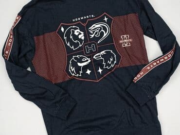 Sweatshirt, Harry Potter, 15 years, 164-170 cm, condition - Very good