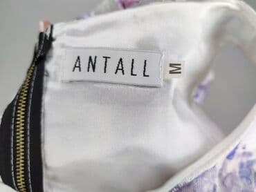 sukienka marynarka stradivarius: ANTALL, Сукня жіноча, M на lalafo.pl — 5 sukienka marynarka stradivarius: ANTALL, Сукня жіноча, M — 5