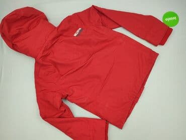 kurtka red bull zimowa: Hollister, Kurtka przejściowa damska, S — 3