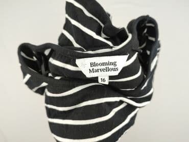 zalando sukienka midi: Sukienka damska, rozmiar XL — 4