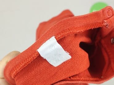 kombinezon czołgisty: Sweatshirt, 9-12 months, condition - Very good — 4