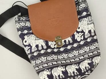 Backpack, condition - Very good