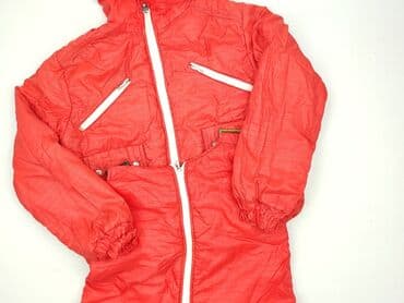 Women`s clothes, size S (EU 36)