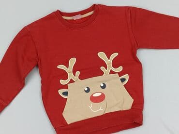 Sweterki: Sweterek, Little kids, 4-5 lat, 104-110 cm, stan - Bardzo dobry